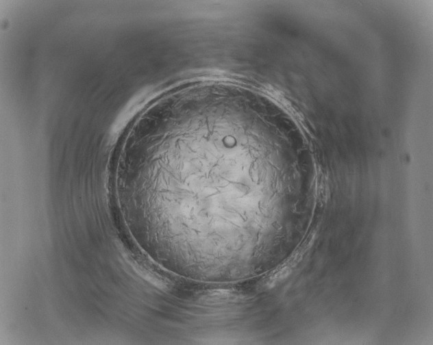 X0000073460151200608041101