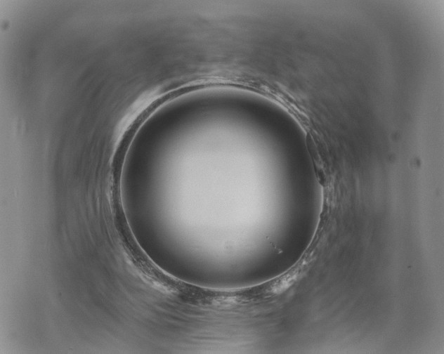 X0000073460152200608041101