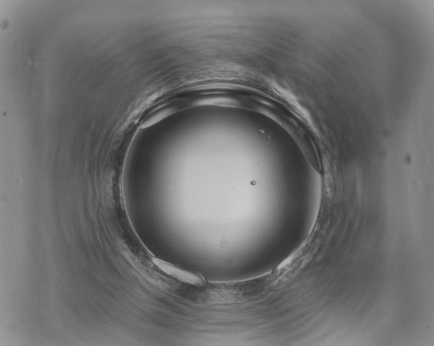 X0000073460154200608041101