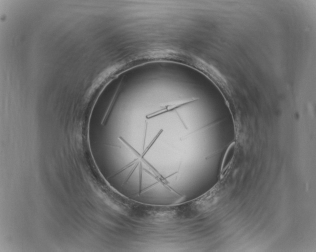 X0000073460155200608041101