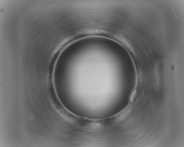 X0000073460159200608041101