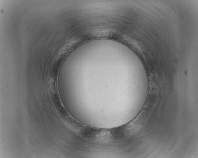 X0000073460162200608041101