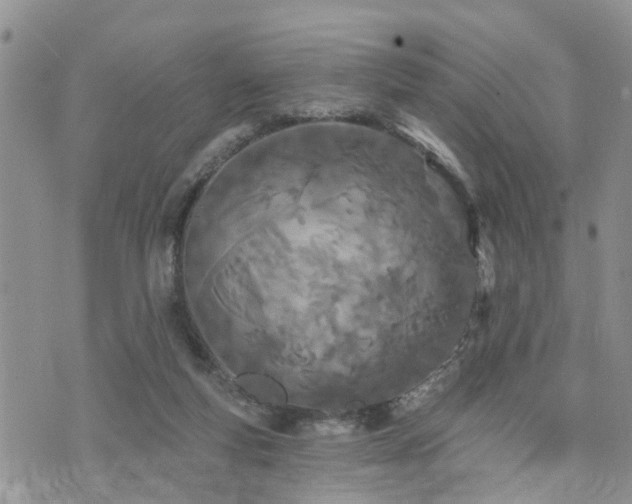 X0000073460163200608041101