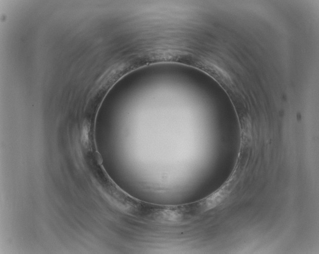 X0000073460166200608041101