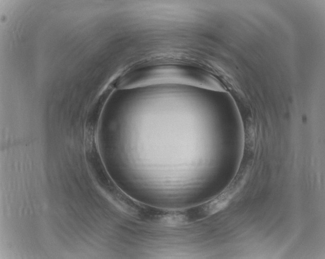 X0000073460168200608041101