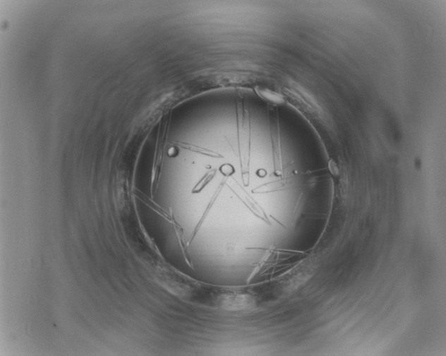 X0000073460169200608041101