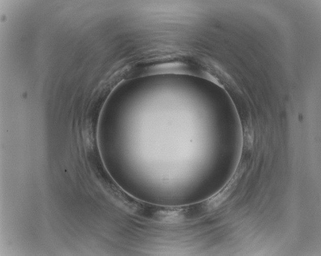 X0000073460170200608041102