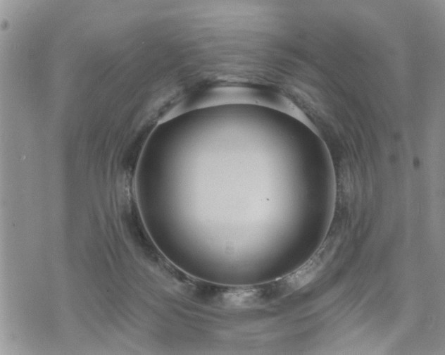 X0000073460172200608041102