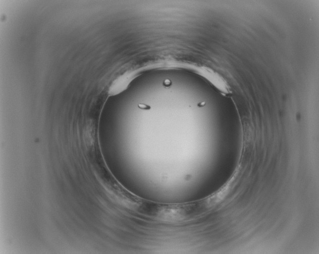 X0000073460174200608041102