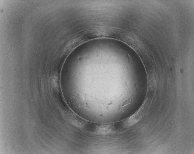 X0000073460175200608041102