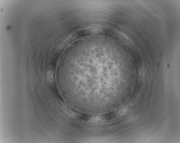 X0000073460177200608041102