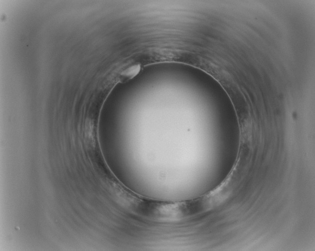 X0000073460178200608041102