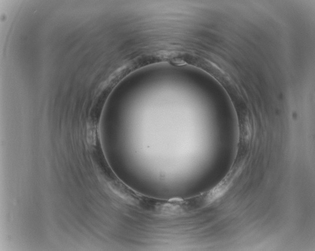 X0000073460180200608041102