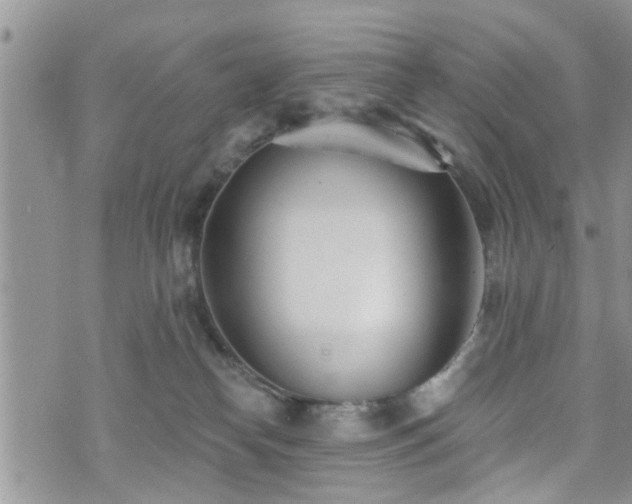 X0000073460182200608041102