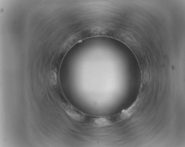 X0000073460183200608041102