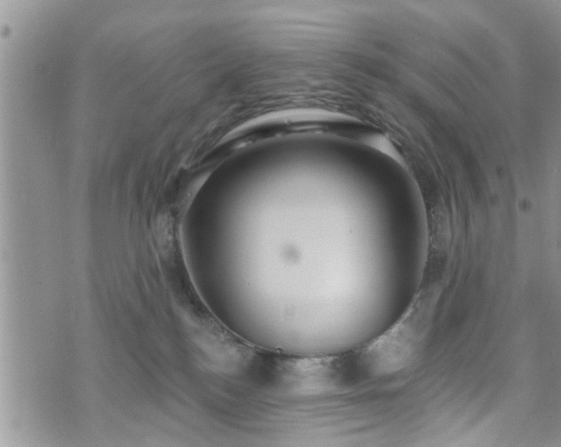 X0000073460184200608041102