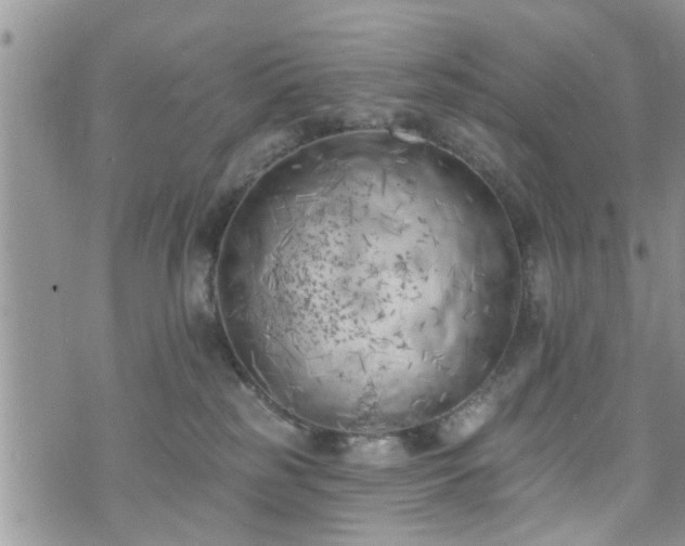 X0000073460185200608041102