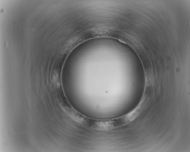 X0000073460187200608041102