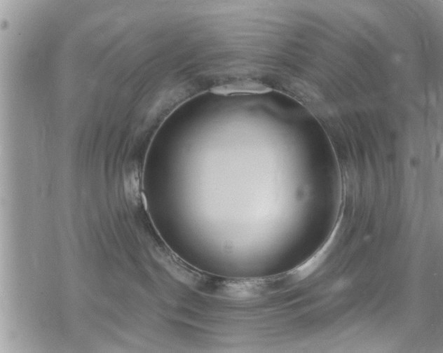 X0000073460190200608041102