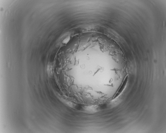 X0000073460191200608041102