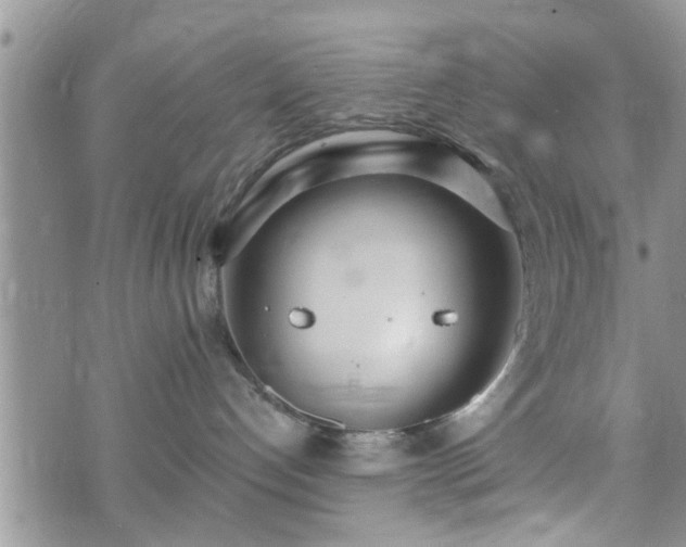 X0000073460192200608041102