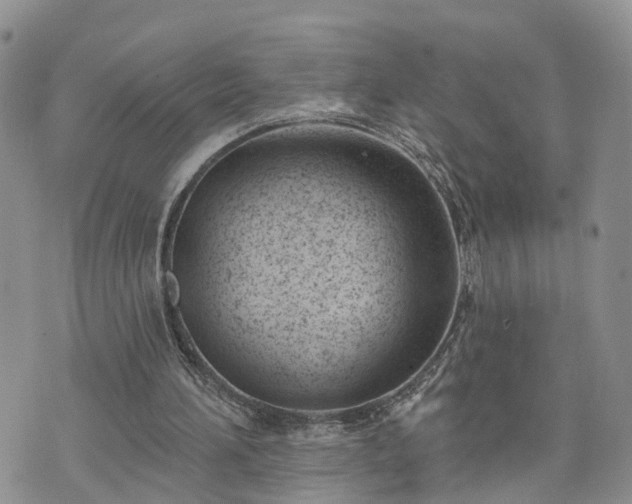 X0000073460196200608041101