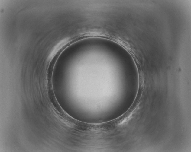 X0000073460199200608041101