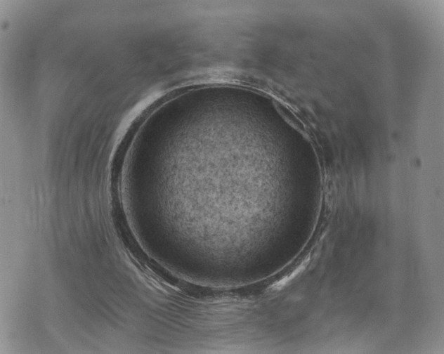 X0000073460200200608041101