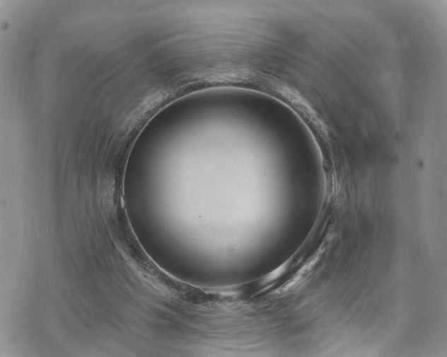 X0000073460201200608041101