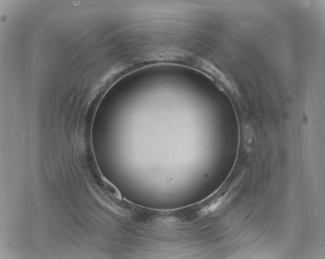 X0000073460203200608041101