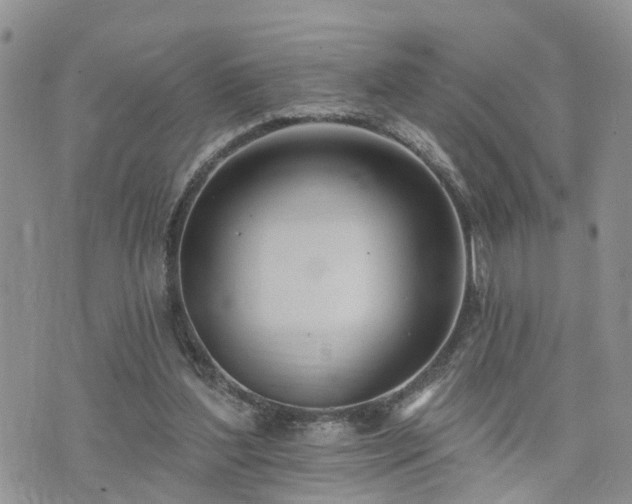 X0000073460204200608041101