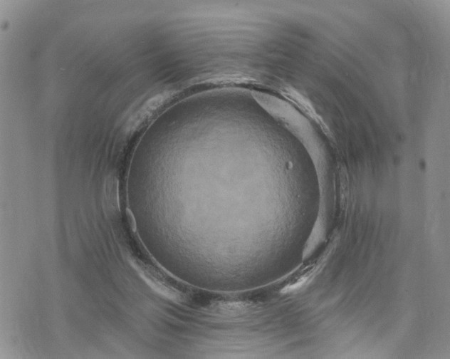 X0000073460205200608041101