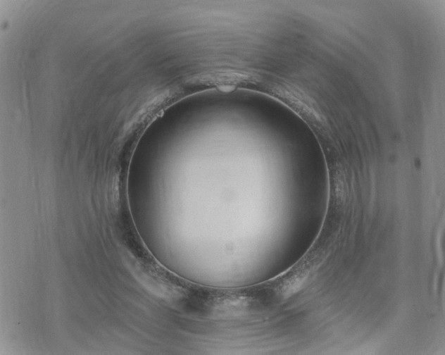 X0000073460206200608041101