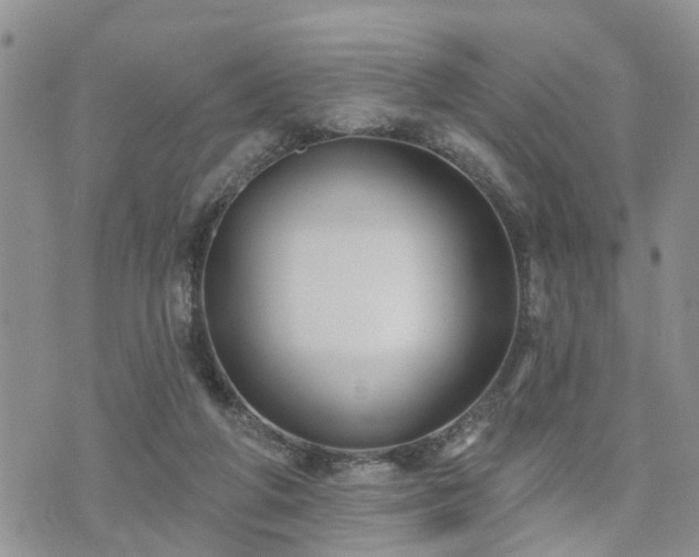 X0000073460210200608041101