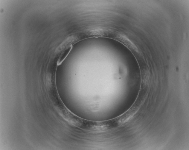 X0000073460213200608041101