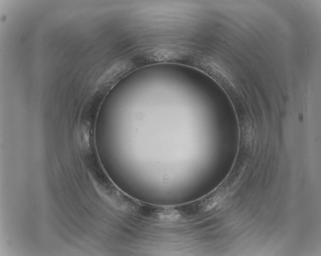 X0000073460214200608041101