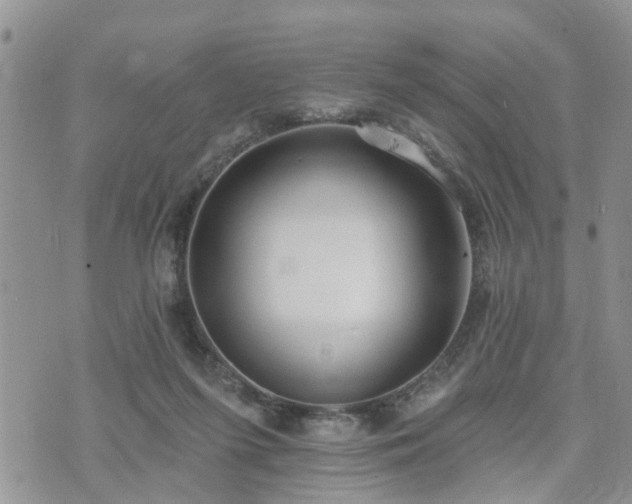 X0000073460215200608041101