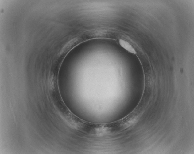 X0000073460216200608041101