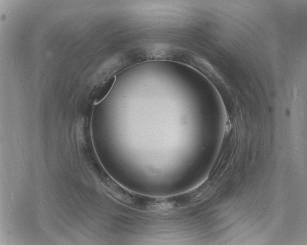 X0000073460217200608041101