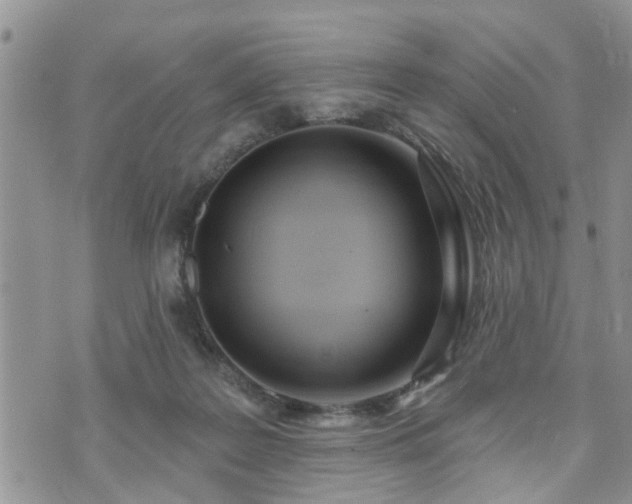 X0000073460219200608041101