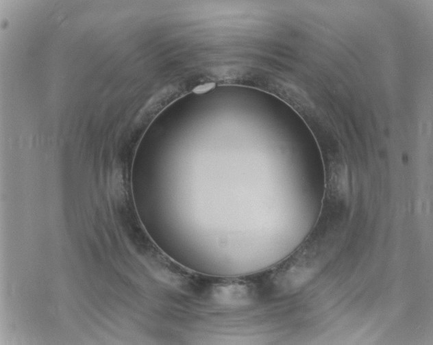 X0000073460220200608041101