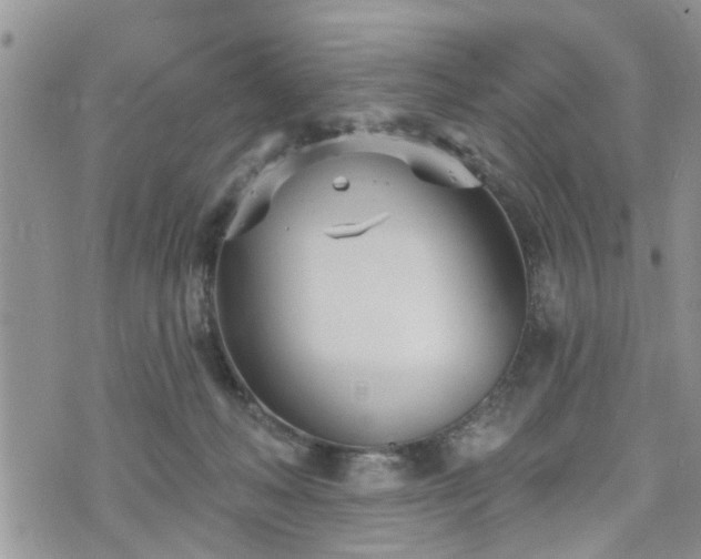 X0000073460222200608041101