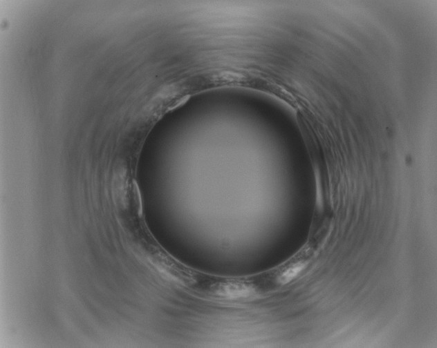 X0000073460223200608041101