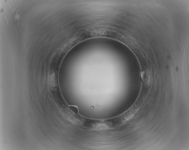 X0000073460224200608041101