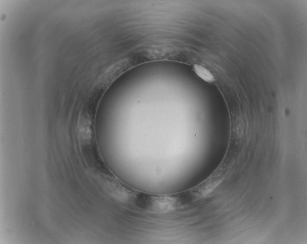 X0000073460226200608041101