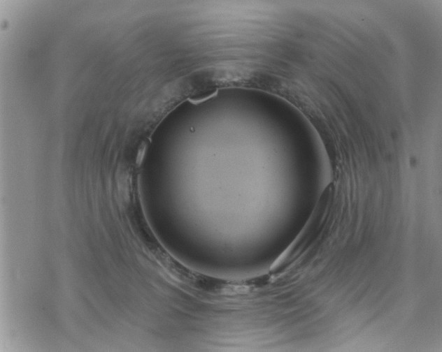 X0000073460227200608041101