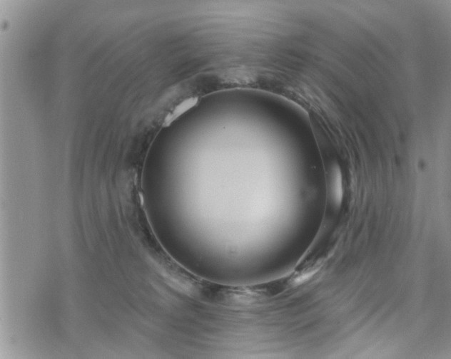 X0000073460229200608041100