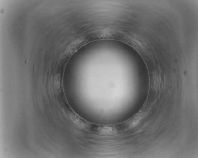 X0000073460230200608041100