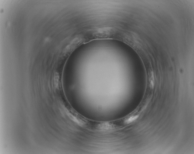 X0000073460231200608041100