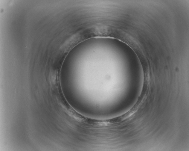 X0000073460233200608041100